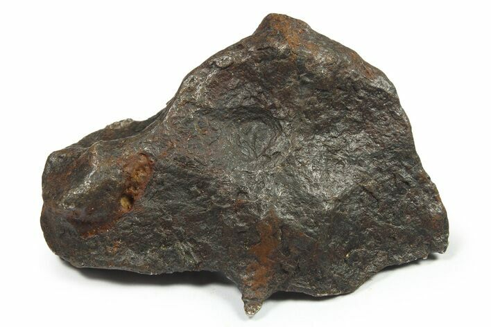 Canyon Diablo Iron Meteorite ( g) - Arizona #270515